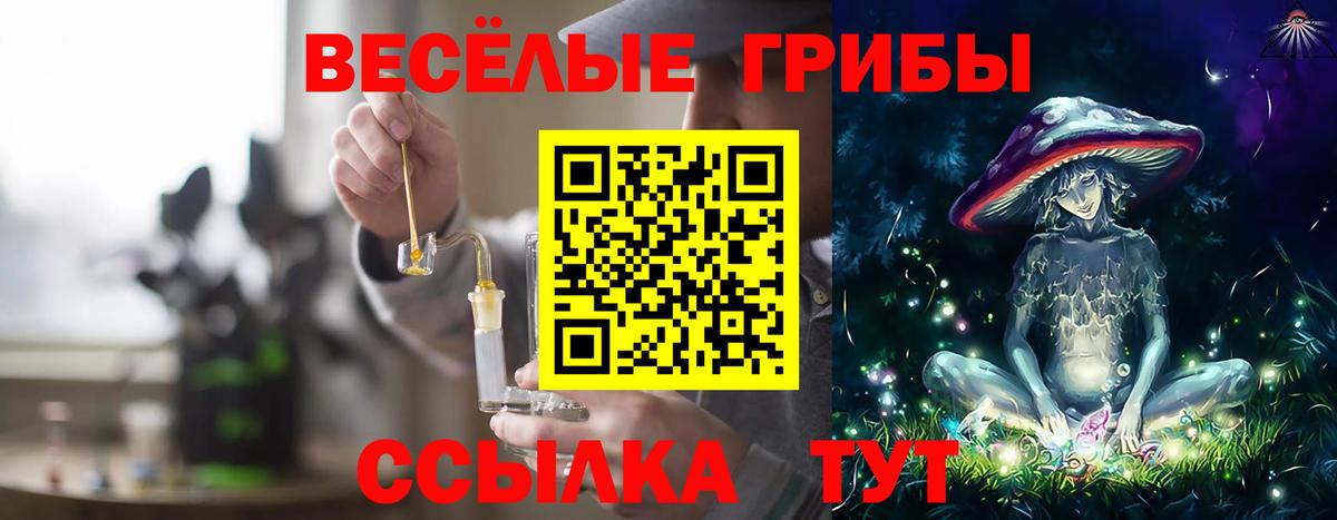Псилоцибиновые грибы мицелий  Вход с VPN  Псилоцибиновые грибы мицелий  Топки 